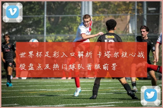 世界杯足彩入口解析 卡塔尔核心战役盘点及热门球队晋级前景