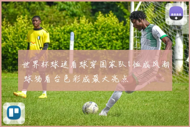 世界杯球迷看球穿国家队t恤成风潮 球场看台色彩成最大亮点