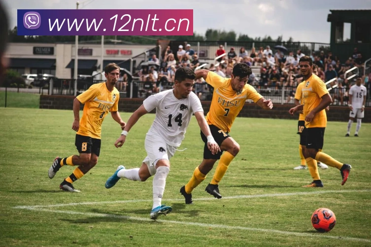 易倍emc官网网页版服务体系